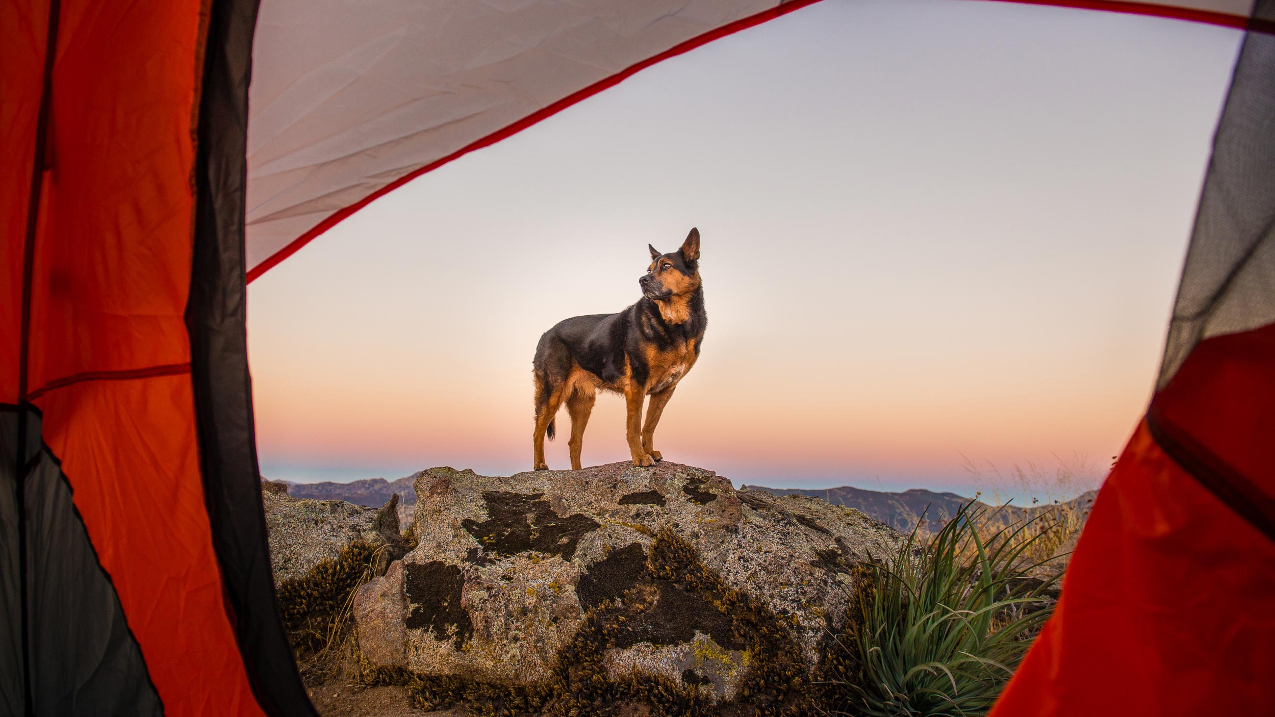 Skye Valley Ranch // Pet-Friendly Camping Under the Stars